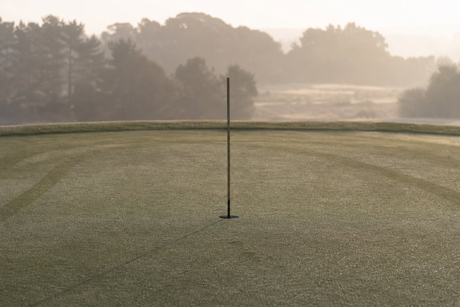 An empty putting green at dawn, a bare flagstick in the hole, dew tracks across the cut surface